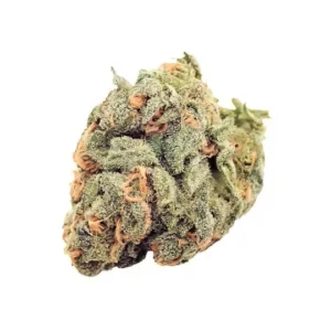 Buy Aventus8 Blue Dream 7g online, Aventus8 Blue Dream 7g price, Order Aventus8 Blue Dream 7g flower, Aventus8 Blue Dream 7g for sale, Purchase Aventus8 Blue Dream 7g blend, Aventus8 Blue Dream 7g shipping