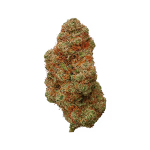 LEMONNADE Lemonchello 10 THCA Flower