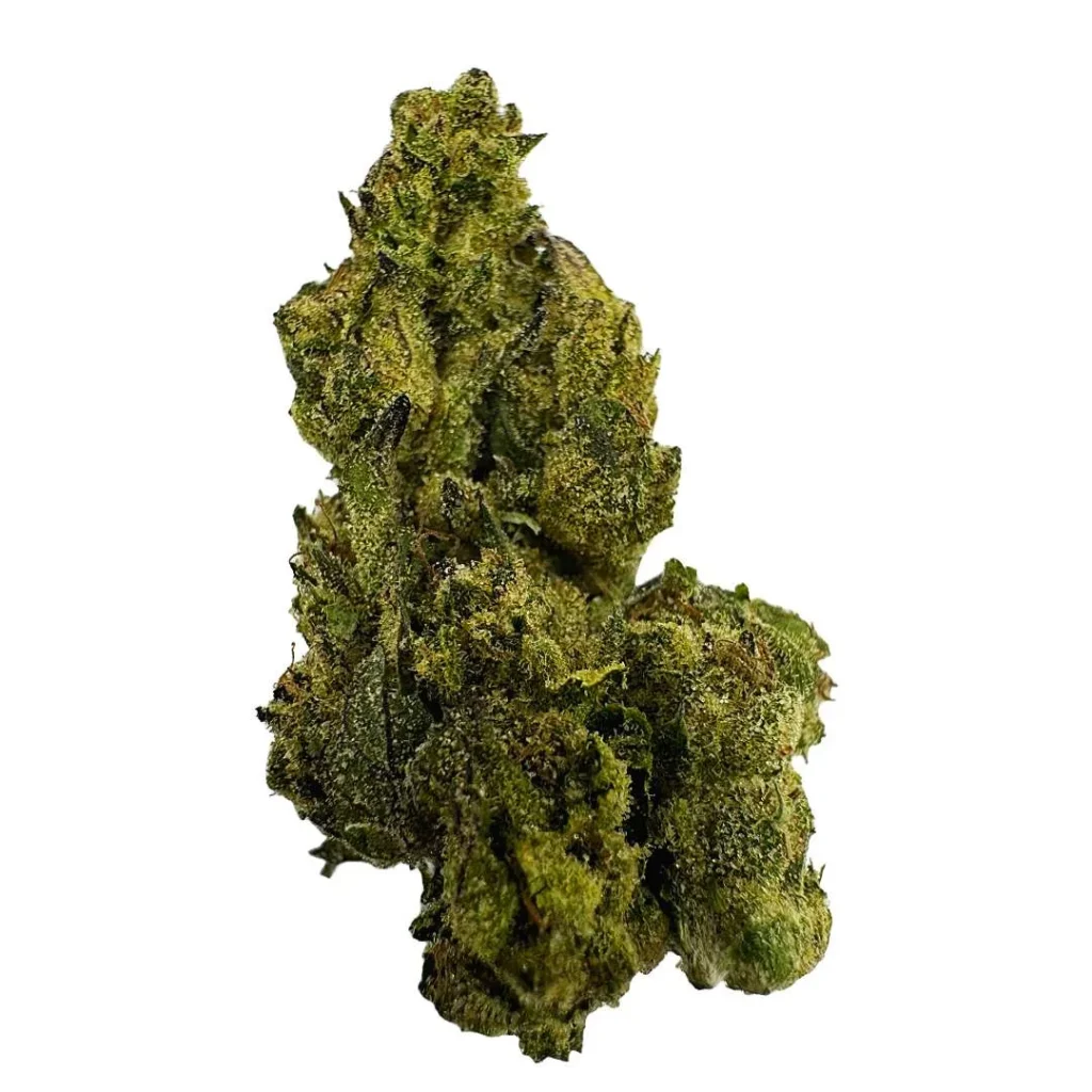 Acai Gelato Strain