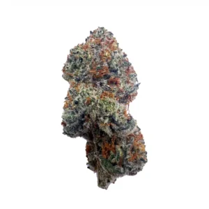 Biscotti Strain