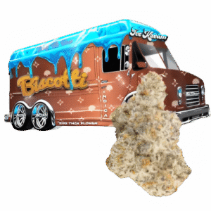 Biscotti weed Strain