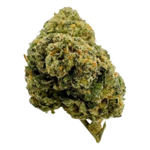 Black Cherry Gelato