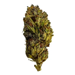 Black Runtz strain