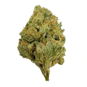Blue Dream strain