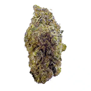 Cherry Pie x GMO strain