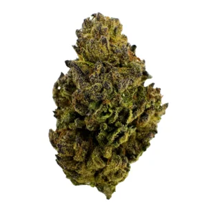 Cream Filling Strain