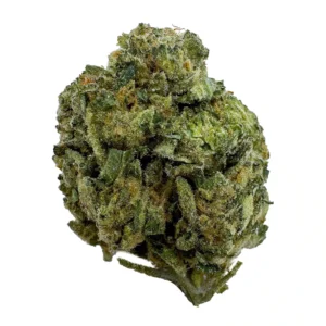 Gary Runtz Strain
