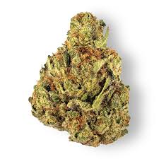 Georgia Pie Strain