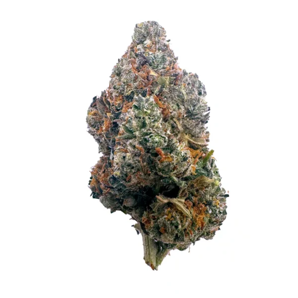 Girl Scout Cookies Strain