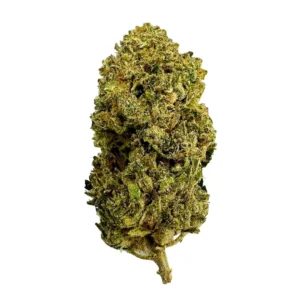 Gorilla Glue #4 Strain