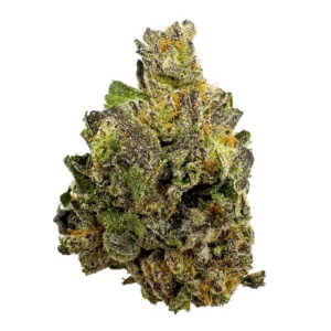 Granddaddy Purple Strain