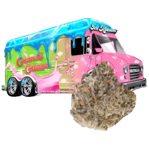 Grandi Guava Strain