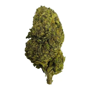 Green Crack Strain