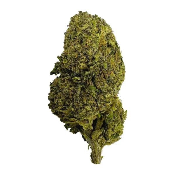 Green Crack Strain
