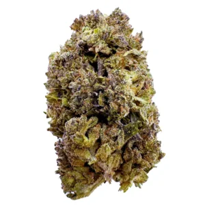 Honey Guava Strain