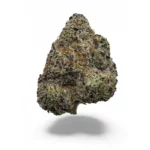 Ice Cream Cake - Indoor