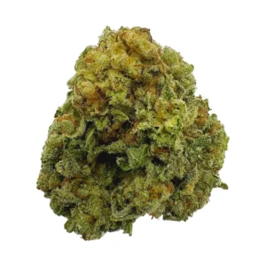 Italian Ice Strain