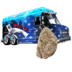 Jokerz Strain