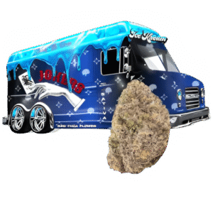 Jokerz Strain