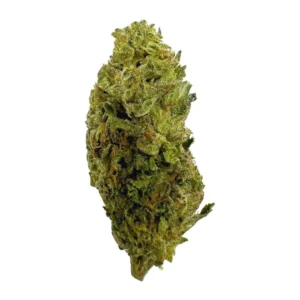 King Sherb Strain