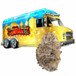 Lemon Cherry Gelato Strain