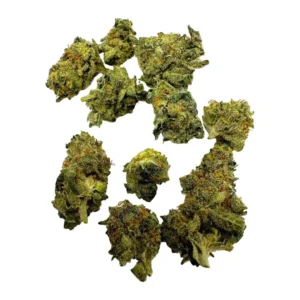 Miracle Alien Cookies Strain
