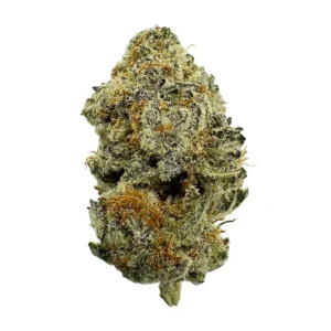 tropical punch strain
