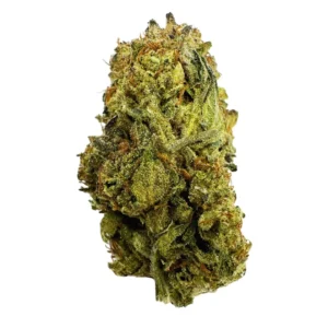 Trump Runtz Strain