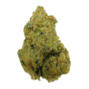 white lotus strain