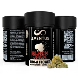 Buy Aventus8 Black Jack THCA Flower 10g online, Aventus8 Black Jack THCA Flower 10g price, Order Aventus8 Black Jack THCA Flower 10g, Aventus8 Black Jack THCA Flower 10g for sale, Purchase Aventus8 Black Jack THCA Flower 10g, Aventus8 Black Jack THCA Flower 10g shipping