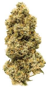 Animal Face THCa