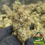 Marijuana Clones Online_ Bulk