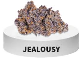 London Jealousy THCa Flower