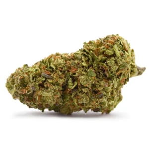 Buy Aventus8 Ice Cream Cake THCA Flower 10g online, Aventus8 Ice Cream Cake THCA Flower 10g price, Order Aventus8 Ice Cream Cake THCA Flower 10g, Aventus8 Ice Cream Cake THCA Flower 10g for sale, Purchase Aventus8 Ice Cream Cake THCA Flower 10g, Aventus8 Ice Cream Cake THCA Flower 10g shipping