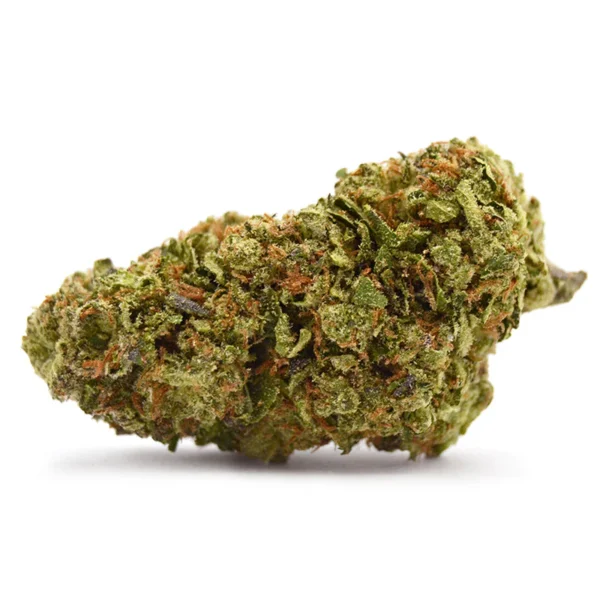 Buy Aventus8 Ice Cream Cake THCA Flower 10g online, Aventus8 Ice Cream Cake THCA Flower 10g price, Order Aventus8 Ice Cream Cake THCA Flower 10g, Aventus8 Ice Cream Cake THCA Flower 10g for sale, Purchase Aventus8 Ice Cream Cake THCA Flower 10g, Aventus8 Ice Cream Cake THCA Flower 10g shipping